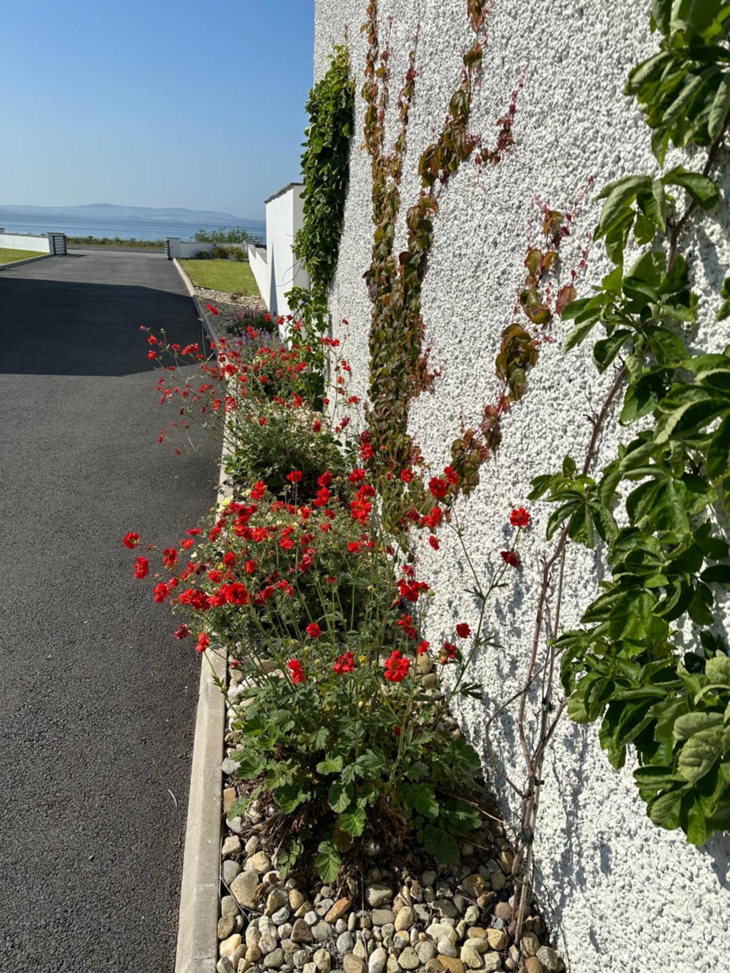 Sea Vista - Rathmullan Villa Exterior photo